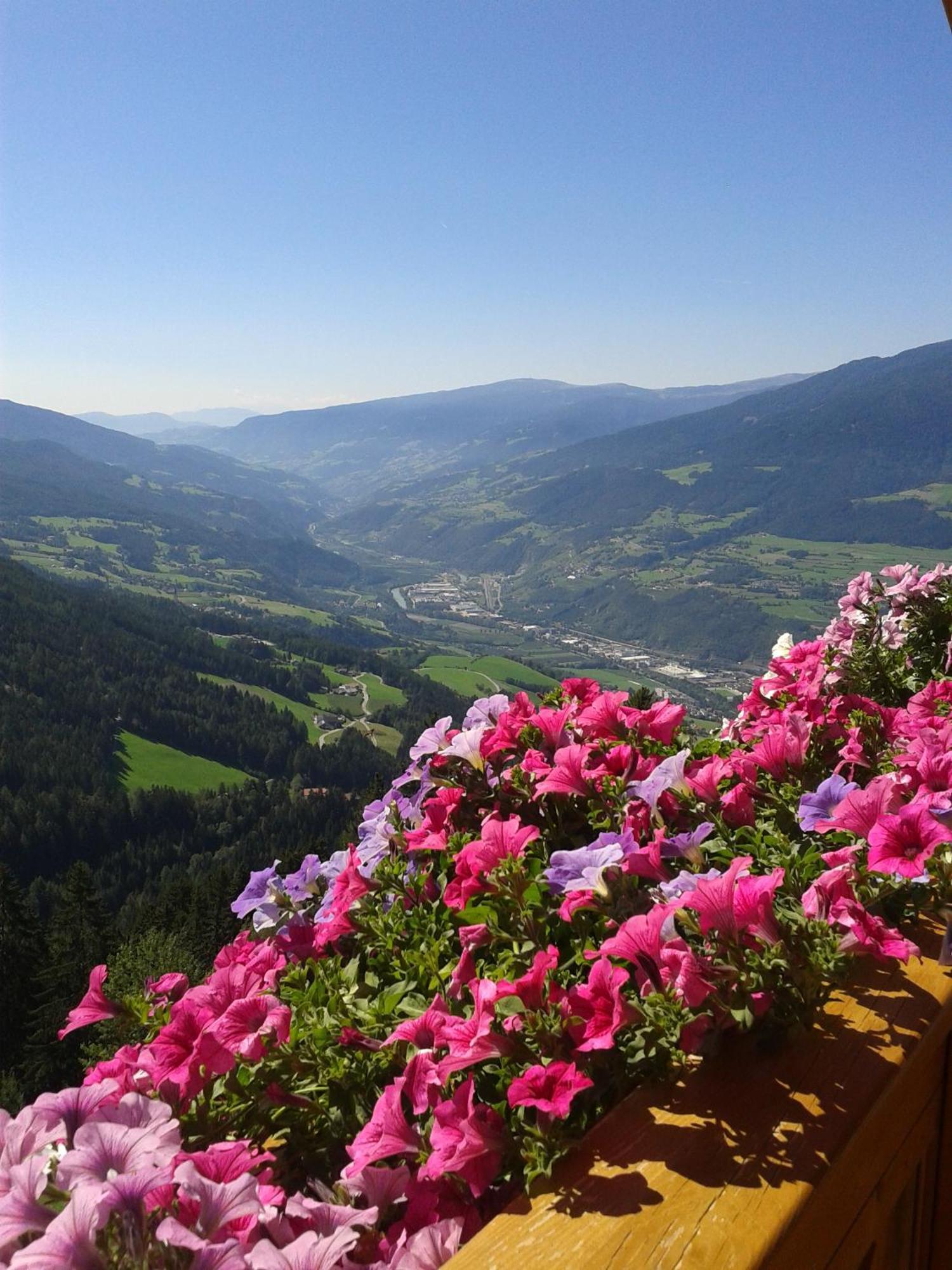 Kaserhof Wandern- Alleinlage - Ruhig- Top Aussicht Brixen Buitenkant foto